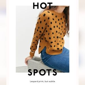 Last chance before donation! Large leopard print Madewell sweater